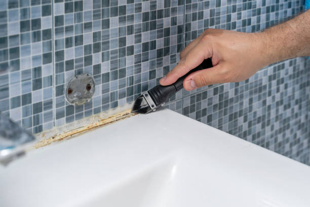 Best Mold Remediation Services  in Victor, ID