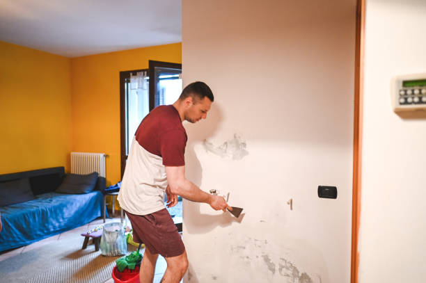 Best Emergency Mold Removal  in Victor, ID